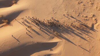 (Imagen ilustrativa Infobae)