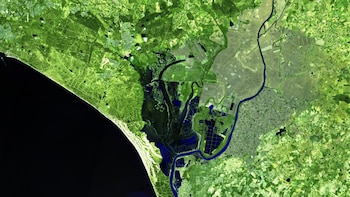 Doñana, bajo el agua y un manto verde: una imagen satelital muestra la transformación del humedal en primavera