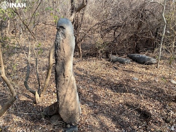 Un monolito de piedra se alza en un bosque seco con árboles y arbustos. En el suelo hay hojas secas y dos rocas. Arriba a la izquierda se ve el logo INAH