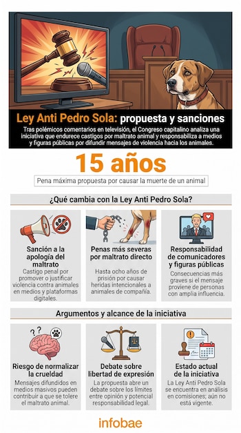 Una infografía con el título Ley Anti Pedro Sola, un mazo judicial golpeando un micrófono en una pantalla, un perro en un juzgado, texto y varios íconos.