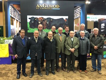 Los ex presidentes y el