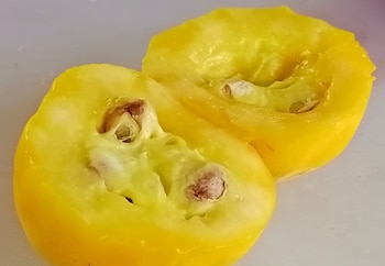 Así luce el interior del