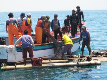 Gobierno brindará apoyo a los