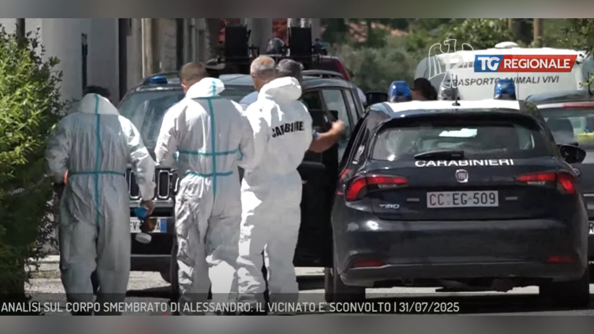 Los oficiales hallaron el cuerpo en el sótano de la vivienda - crédito captura de pantalla TV 12/YouTube