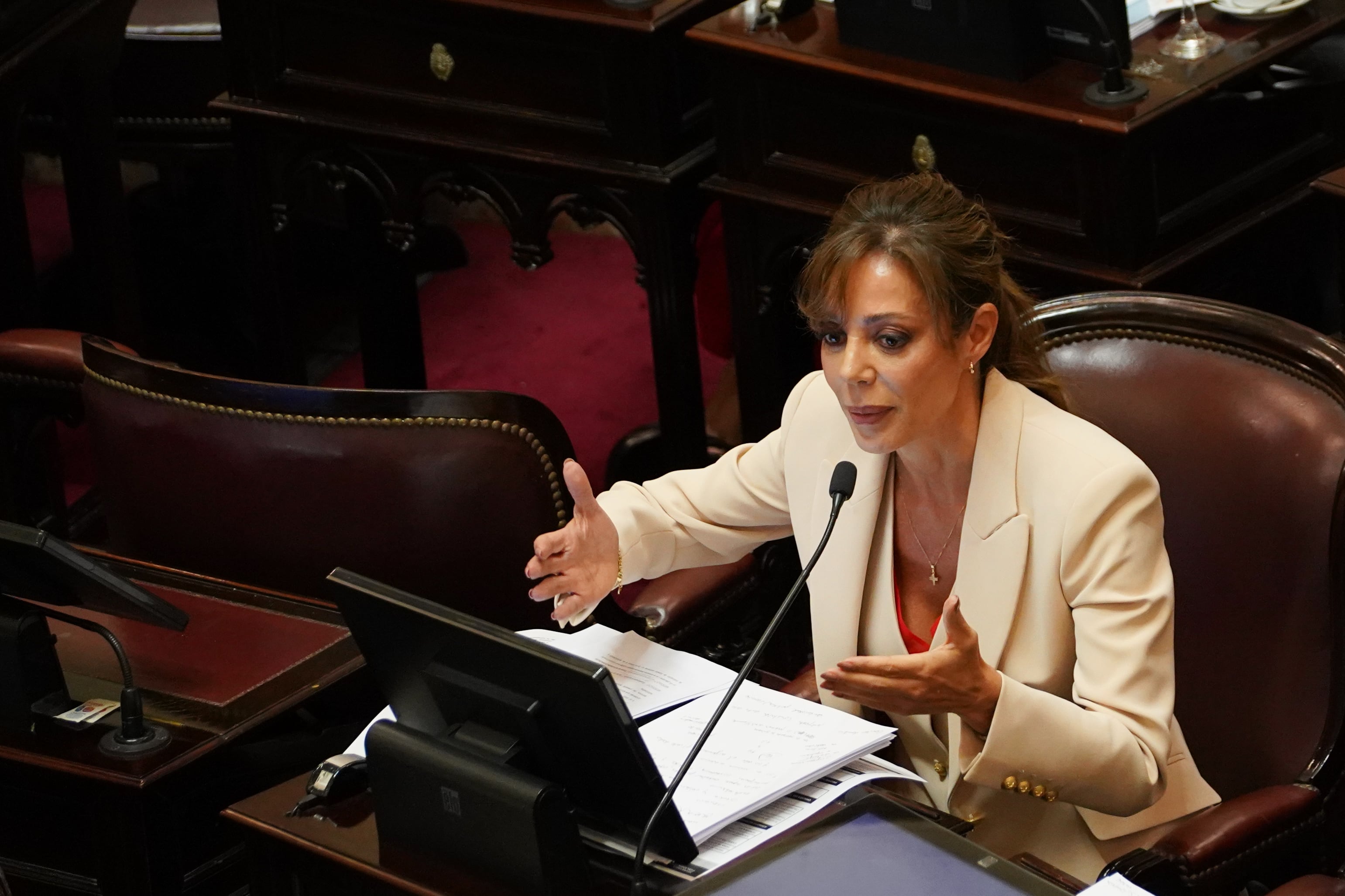 La senadora salteña Flavia Royón ejecutó un sólido discurso sobre el final del debate de la ley de glaciares