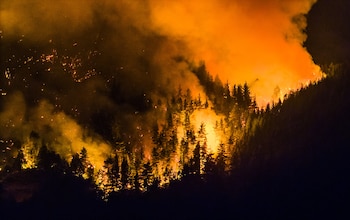 Más de 45 mil hectáreas