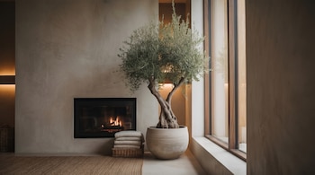 Un olivo en una maceta grande junto a una ventana alta, con una chimenea encendida a la izquierda y mantas dobladas en una cesta de mimbre en un interior de tonos neutros.