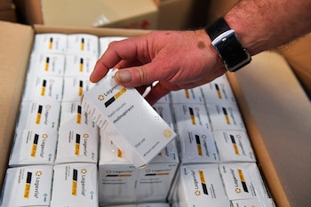 Los pacientes jóvenes y sanos, incluidos los niños y las mujeres embarazadas y lactantes no deberían tomar el fármaco molnupiravir, según la OMS (REUTERS/Jennifer Lorenzini)