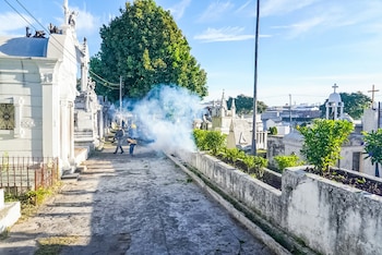Los camposantos dispondrán de nueve puntos de orientación ciudadana y cajas exprés para el pago de tasas de ornato en La Bermeja, Los Ilustres y Parcelas. (Foto: Alcaldía de San Salvador Centro)