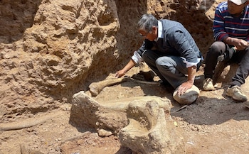 Fotografía difundida este miércoles por