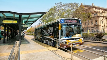 Cuál es el precio del