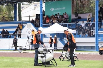 Imagen XRJDBDD5MJH4LOI5N7KF7OPZME