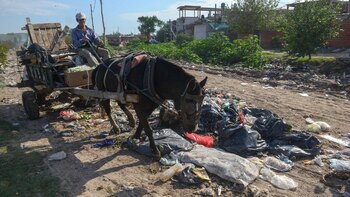 Según Mezzina, la democracia no
