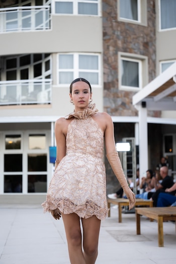 Las colecciones que se exhiben