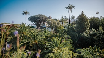 Parque del Drago, en Tenerife
