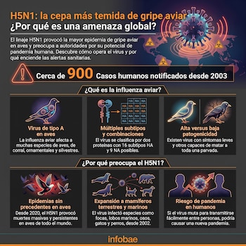 Infografía de la influenza aviar H5N1 con un virus, mapa, símbolos de peligro biológico, aves, esquemas de subtipos y datos sobre casos humanos.