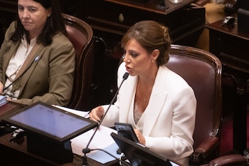 La senadora salteña Flavia Royón,