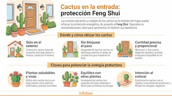 Infografía explicativa con ilustraciones de cactus en macetas junto a la puerta principal y textos instructivos.