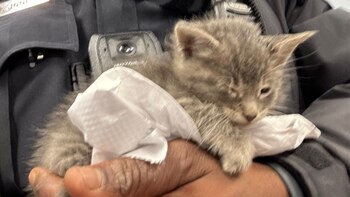 El oficial pasó por un