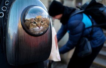 A young refugee couple fleeing Russia?s ongoing invasion of Ukraine carries its cat as they arrive by train from Kyiv at the main train station in Lviv, Ukraine, March 18, 2022. REUTERS/Kai Pfaffenbach