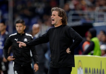 Insúa suma 146 partidos como director técnico de San Lorenzo, con 57 triunfos, 54 empates y 35 derrotas (REUTERS/Cristina Vega Rhor)