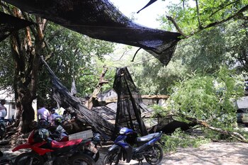 El desplome de un gran árbol sobre motocicletas en una concurrida área comercial dañó además una línea de baja tensión, generando alarma entre locales - crédito Blu Radio