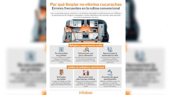 Infografía sobre por qué la limpieza no elimina cucarachas, muestra una cocina con estos insectos y seis iconos con texto explicativo; abajo, logo de Infobae.