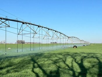 En Córdoba, un grupo de