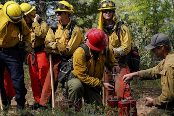 La reducción de personal también afectó tareas preventivas, con proyectos suspendidos justo cuando crece la exposición a incendios más severos (REUTERS/Tracy Barbutes)