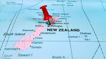 El programa incluye becas, estudios