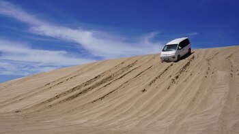 Staria cuenta con capacidad para