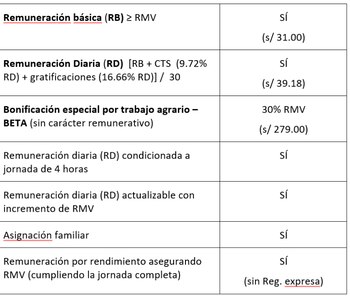 Remuneración mínima puede variar según