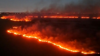 Un incendio forestal arde en el oeste de Broward y las columnas de humo se desplazan