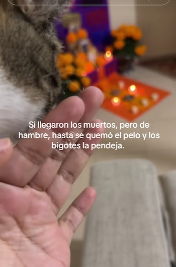 (TikTok video viral)