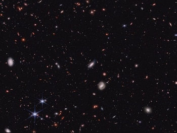 El descubrimiento fue realizado por