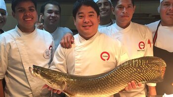 Micha Tsumura, es el creador