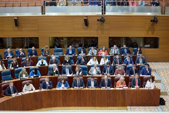 Imagen XSCBIZ67GBCM7NFOKDLN7QBHS4