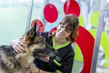 Cada último sábado de abril