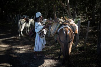 Las comunidades han tenido que