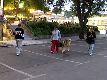 Imagen XSVHDM3TL5CBFAEOIKEEF3RJME