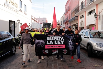 Activistas del colectivo Patitas Adoptables