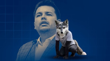 Diputado panista afirma que los