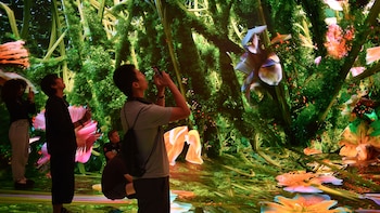 Dataland, el primer museo de IA