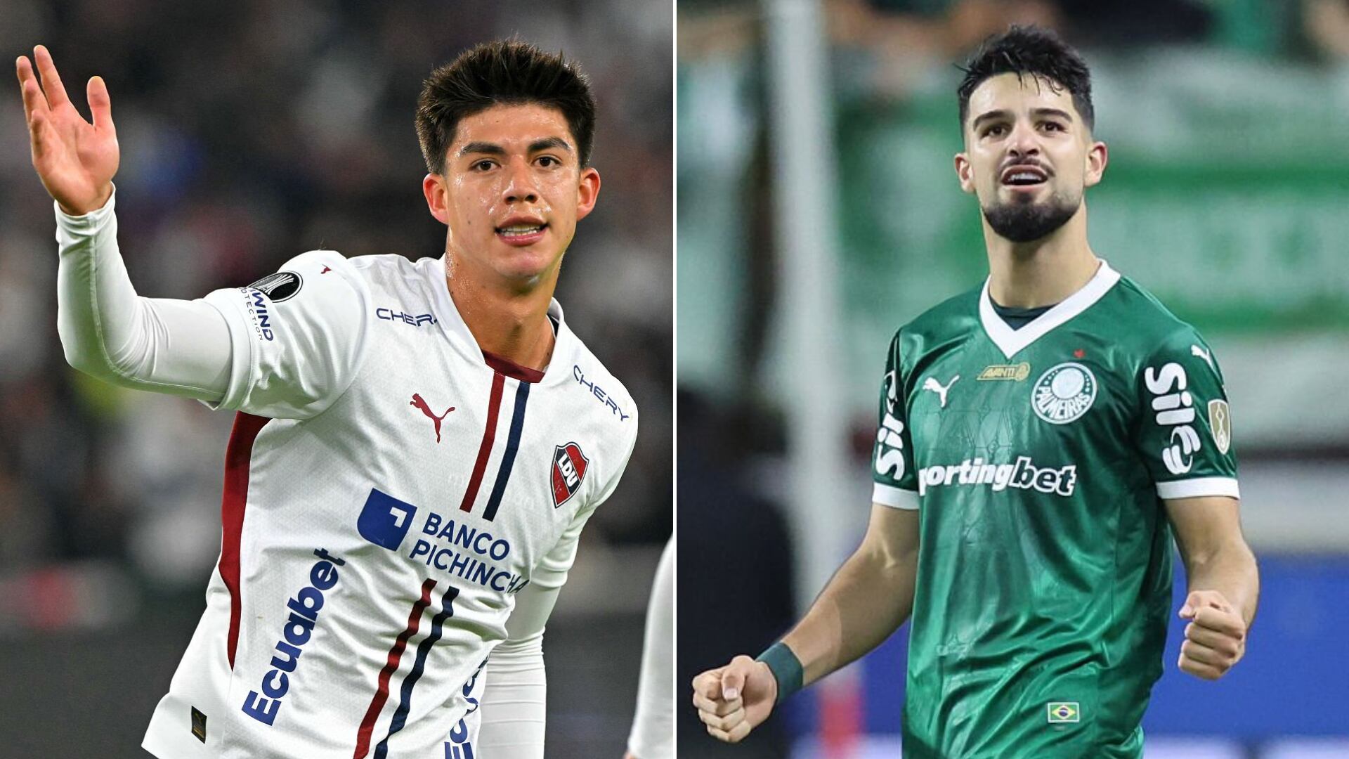 Dónde ver LDU Quito vs Palmeiras por Copa Libertadores 2025.