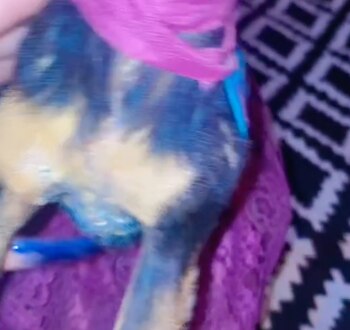 La joven mostró que el