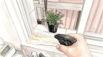Una mano sostiene un pulverizador negro apuntando a toallas de papel sobre el marco de una ventana junto a una maceta.