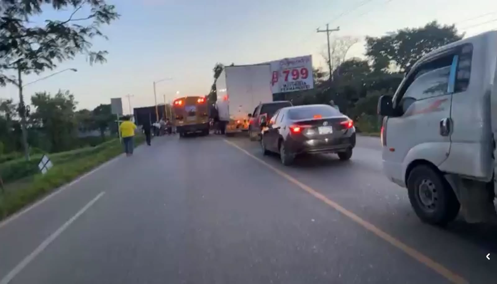 Campesinos en Honduras protestan exigiendo derogar leyes que consideran perjudiciales