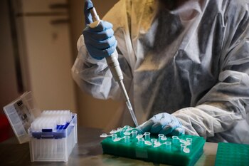 El trabajo es el primero en analizar los efectos de la vacuna de la gripe a nivel molecular en presencia del nuevo virus SARS-CoV-2 (Efe)