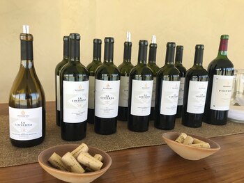 La Linterna Finca El Milagro La Consulta Malbec - Bemberg Estate