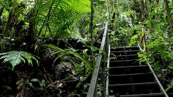 Santuario de Flora y Fauna